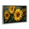 Stupell Industries Sunflowers For The Soul Floating Frame, design by Tina LeCour